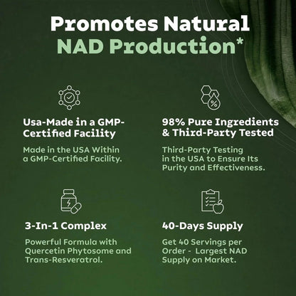 Reus Research NR900 – NAD+ Supplement (80 Capsules)